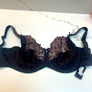 PrimaDonna Deauville Brown with Pink Accents Lace Bra Size 32 F